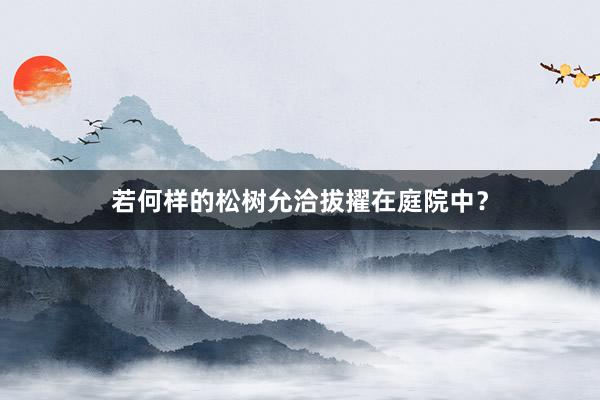若何样的松树允洽拔擢在庭院中？