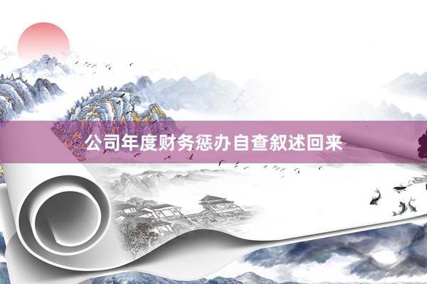 公司年度财务惩办自查叙述回来